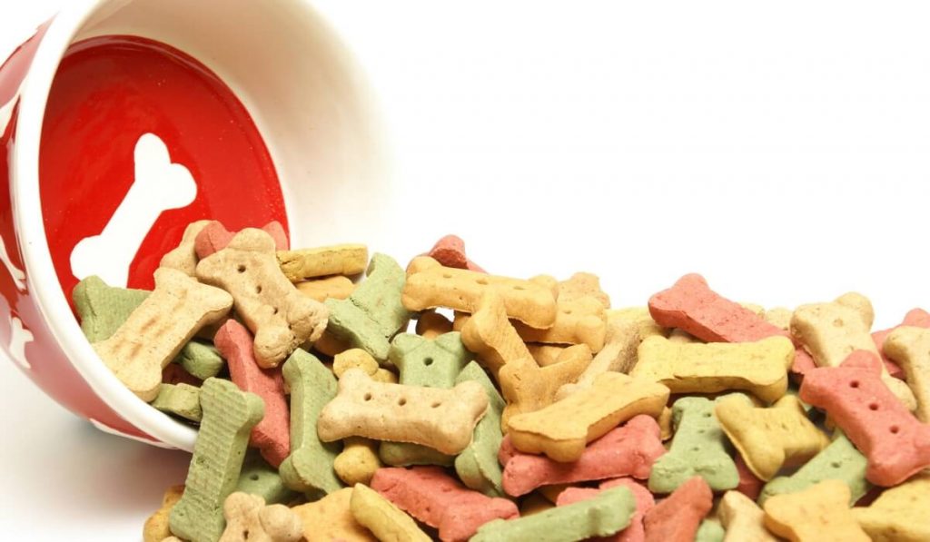 Treat dispenser toy for dog food